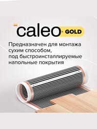     CALEO GOLD 230-0,5-3,02   