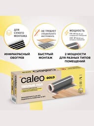     CALEO GOLD 230-0,5-152   