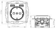  Systeme Electric ATLASDESIGN 16 c 2USB A+A, 5/2,4, 25/1,2, ,  ATN000230