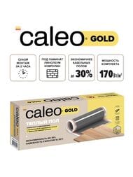     CALEO GOLD 170-0,5-3,52   