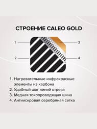     CALEO GOLD 230-0,5-6,02   