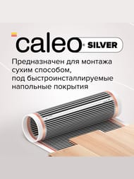     CALEO SILVER 150-0,5-22