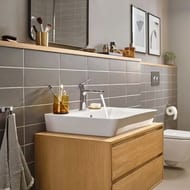    Hansgrohe Rebris E 72560000 , CoolStart,  109, 