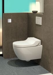 - GEBERIT AquaClean TumaComfort ,    146.294.SI.1