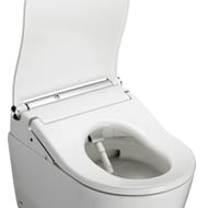   TOTO RP  - Washlet RW   / (391x579x518) CW542EY+TCF801CG#NW1