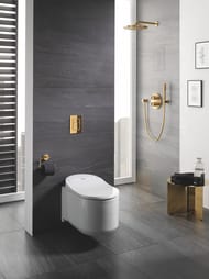     Grohe Skate Cosmopolitan 38732GL0  