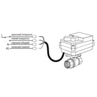      Neptun Base Light 3/4"