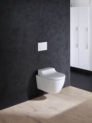 - GEBERIT AquaClean TumaComfort ,    146.294.SI.1