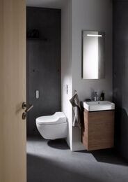 - GEBERIT AquaClean TumaComfort ,    146.294.SI.1