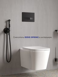   IDDIS SPRING   , ,   003BLR0i08