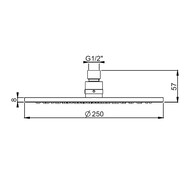   Paini , 250,  ,   50PJ759TT25