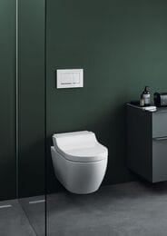 - GEBERIT AquaClean TumaComfort ,    146.294.SI.1