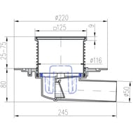   Paini  , 125125 ,  , . D50, 381AC