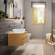    Hansgrohe Rebris E 72568000 , , : 