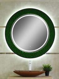   Forest D1000  LED  6000,  , . 