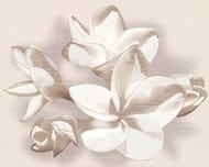  AZORI Amati Plumeria Beige (402505)  (.)