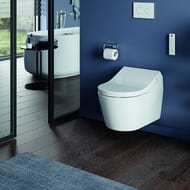 - TOTO WASHLET RX EWATER+ (386x579x146)   ,  TCF894CG#NW1