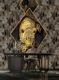     ROBERTO CAVALLI Home 8 (3,03,0) ,  19119 (.)