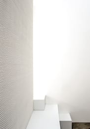  Mutina Phenomenon (250250) ,  TYPWI01 (.)