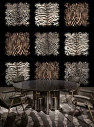     ROBERTO CAVALLI Home 8 (3,03,0) , .19106 (.)