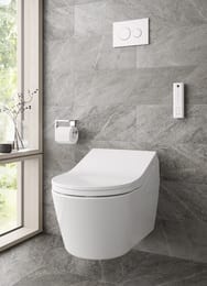   TOTO RX Series (380x580x410)  CW542EY