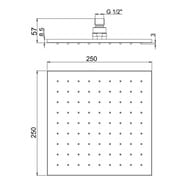   Paini , 250 ,  ,   50PJ759QQ25