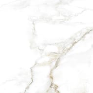   Gracia Ceramica Carrara Premium white PG 01 (600600)  (..)