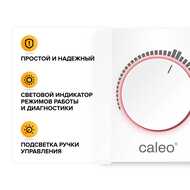  CALEO C450, , 