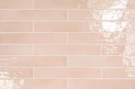   EQUIPE MANACOR Blush Pink (65400)  (..)