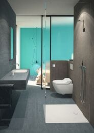 - GEBERIT AquaClean TumaComfort ,    146.294.SI.1