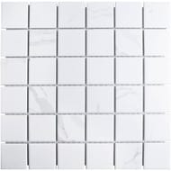   Starmosaic Homework Carrara Matt 48x48 (3063066)  PMWB82223 (.)