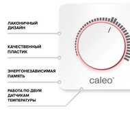  CALEO C450, , 