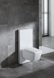    Geberit Icon Square  ,   571910000