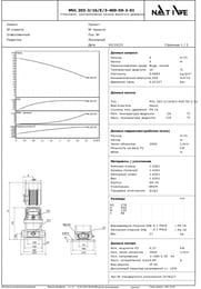   Native by WILO MVL 203-3/25/E/3-400-50-2-S1 .2474346